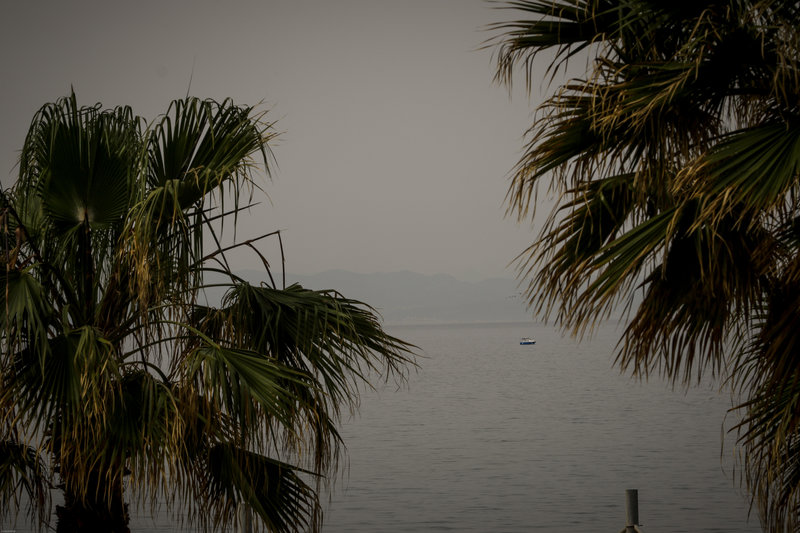 Σκόνη04