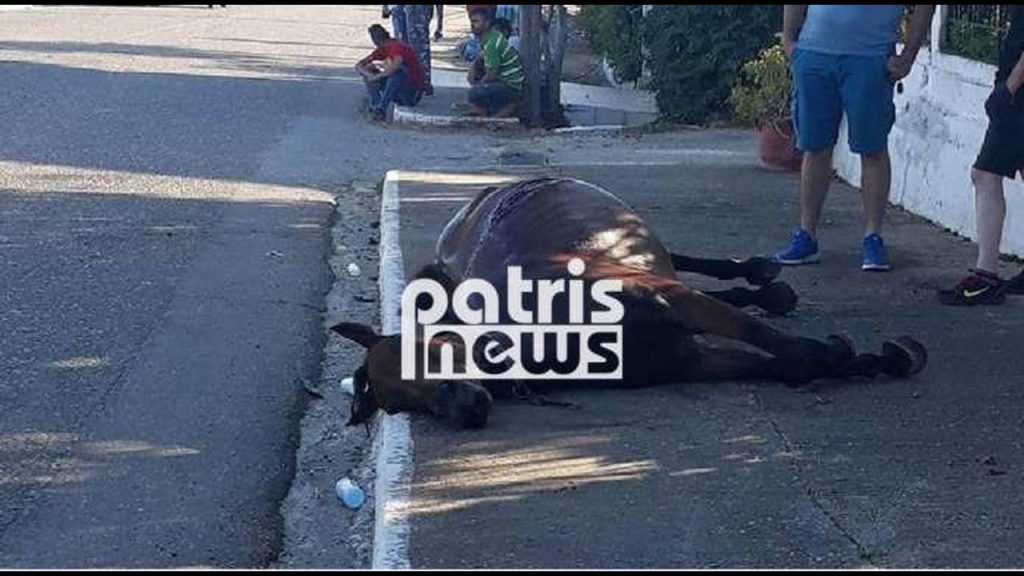 Άλογο02