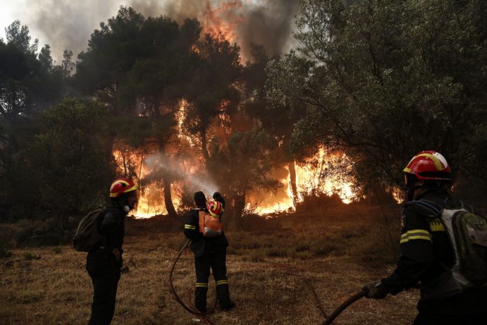 ΒΟΙΩΤΙΑ ΔΕΡΒΕΝΟΧΩΡΙΑ ΠΥΡΚΑΓΙΑ