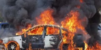 Καβούρι Σχιστό απανθρακωμένα άτομα
