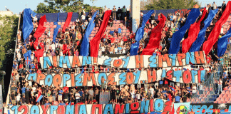 Πάνθηρες