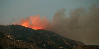 Αρηνή
