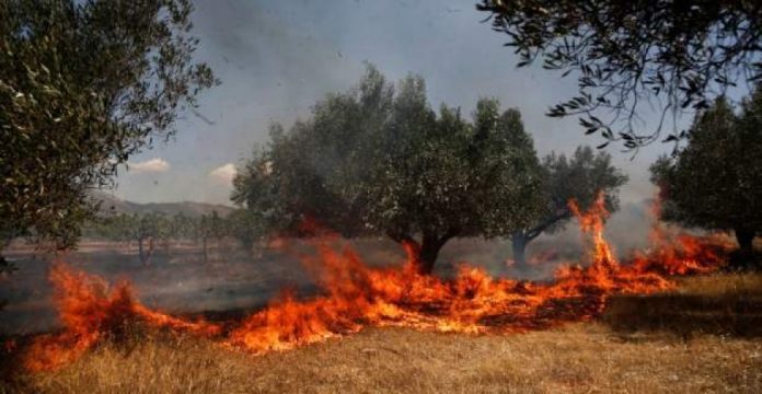 Λάρισας
