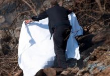 Άραξος