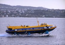 Δελφίνι