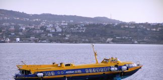 Δελφίνι