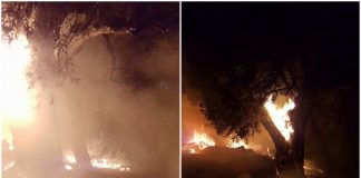 Ζάκυνθος