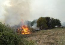 Φωτιά στα Καλύβια Αττικής Καλύβια