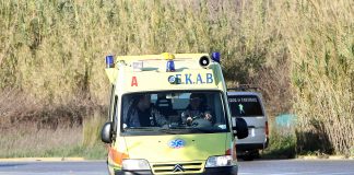 Διαμελισμένη