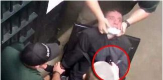 Taser