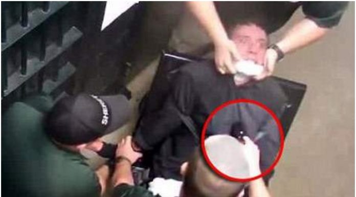 Taser