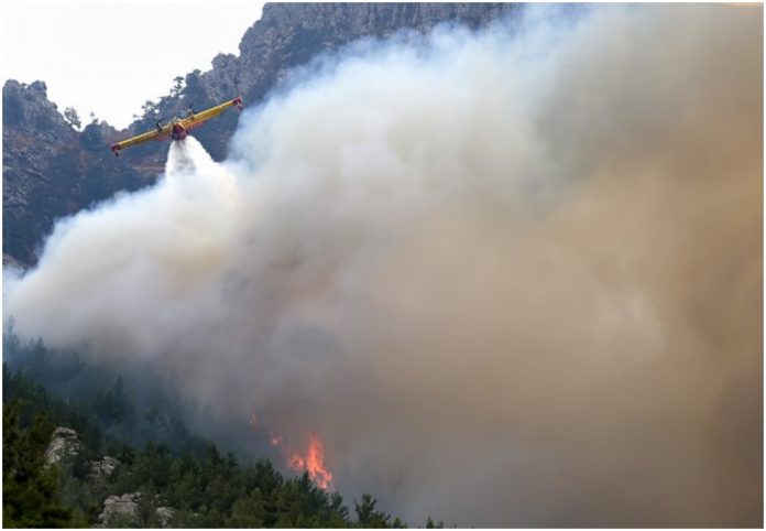 Κεφαλονιά