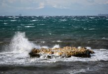 Μελτέμια