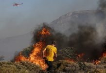 Φωτιά τώρα σε δασική έκταση στο Ίλιον Αττικής