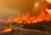 Πυροσβεστικό Σώμα: Τρεις συλλήψεις για πυρκαγιές από αμέλεια