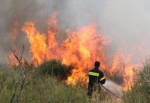 Συναγερμός στην Πυροσβεστική – Δυο πυρκαγιές μαίνονται στην Ηλεία