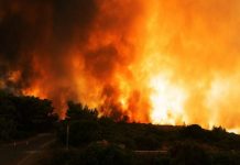 Ανεξέλεγκτη η πυρκαγιά στο Κούτσι της Νεμέας (pics & video)