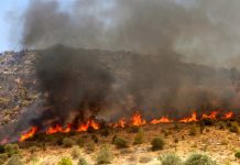 46 φωτιές σε ένα 24ωρο – Τι γίνεται με τα μέτωπα των πυρκαγιών