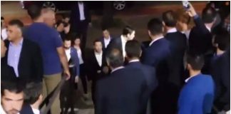 Περιστέρα