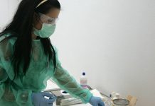 Συναγερμός: Στα πρόθυρα επιδημίας ο ιός του Νείλου – 3 νεκροί σε Αρκαδία, Αχαΐα και Ρέθυμνο
