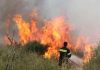 96 αγροτοδασικές πυρκαγιές το Σαββατοκύριακο: Συνεχής μάχη με τις φλόγες σε όλη τη χώρα