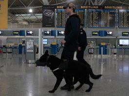 Διεθνές κύκλωμα απάτης εξαρθρώθηκε στην Ελλάδα – Ο ρόλος της ΕΛ.ΑΣ