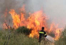 Πυρκαγιά σε δασική έκταση στην περιοχή Παιλαιοκαρυά στο Αγρίνιο