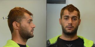 Αλβανός