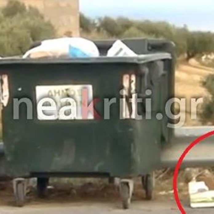 κουταβάκια
