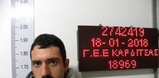 Καρδίτσα