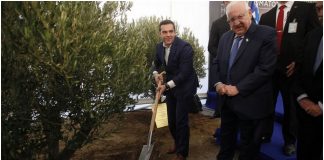 Φτυάρι