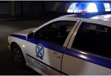 Περιστέρι