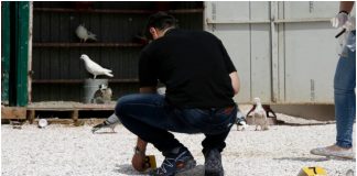 Δολοφονία στο Περιστέρι – Σεσημασμένο το 61χρονο θύμα Περιστέρι