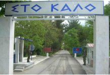 Καστανιές