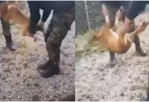 Κόνιτσα
