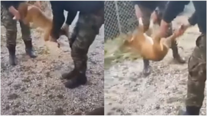 Κόνιτσα