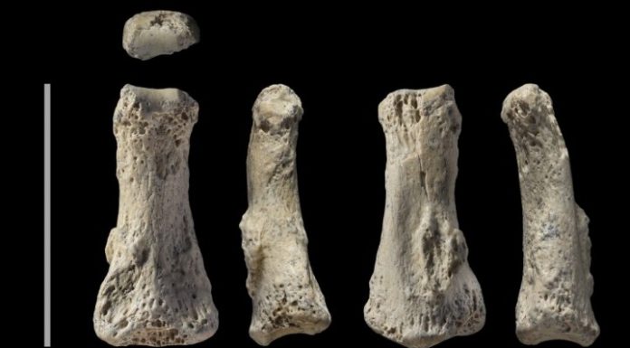 Ανακαλύφθηκε στη Σ.Αραβία απολίθωμα του Homo sapiens ηλικίας 90.000 ετών