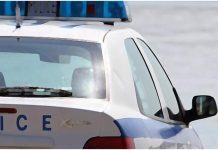 Ποντικοί