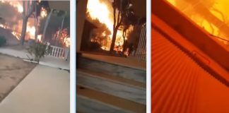 Τρομακτικό βίντεο: Πήγε να σώσει την γάτα του και οι φλόγες πέρασαν από πάνω του