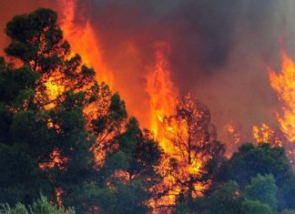 Καίγεται δασική έκταση στον Τύρναβο