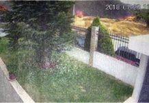 Βίντεο- ντοκουμέντο: Η στιγμή που ξεκίνησε η φονική πυρκαγιά στο Μάτι