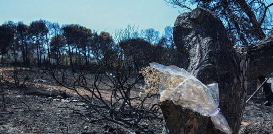 Αλαλούμ με την Πυροσβεστική: Έστελναν ενισχύσεις στη Διώνη αντί για το Μάτι