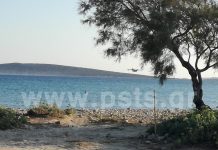Φωτιές: Σε ύφεση η πυρκαγιά στη Ζάκυνθο, υπό μερικό έλεγχο σε Πάρο και Εύβοια