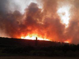 Σε πύρινο κλοιό οι ΗΠΑ: Σημειώθηκαν πάνω από 100 πυρκαγιές
