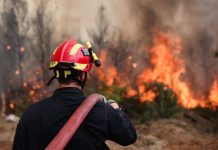Φωτιά, τώρα, στην Κρήτη