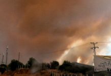 Πυρκαγιά στη Βραυρώνα Αττικής