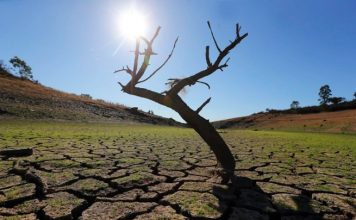 Δραματική αύξηση στους θανάτους από καύσωνα έως το 2080