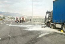 Φωτιά σε φορτηγό στην Εθνική Οδό Αθηνών-Λαμίας – Έκλεισε το ρεύμα καθόδου στη Μαλακάσα