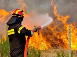 Μεγάλη φωτιά μαίνεται σε δασική έκταση στην περιοχή Σιδηροκάστρου, στη Μάνη