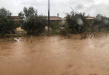 Κορινθία: Τεράστιες οι καταστροφές και στις καλλιέργειες